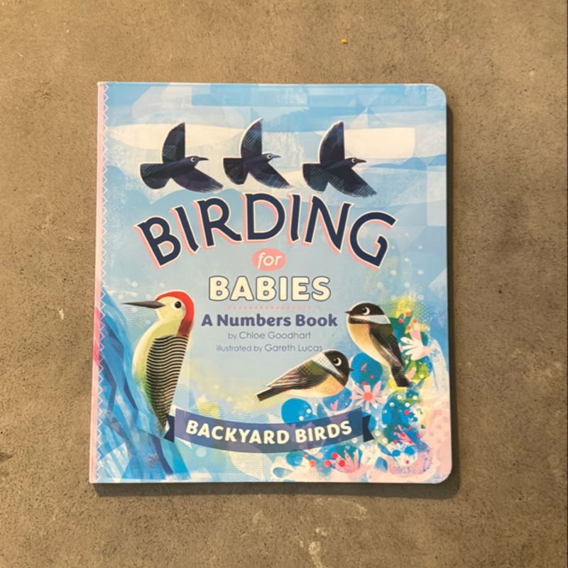 Birding for Babies