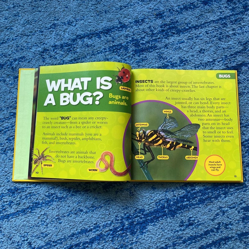 National Geographic Little Kids First Big Book of Bugs