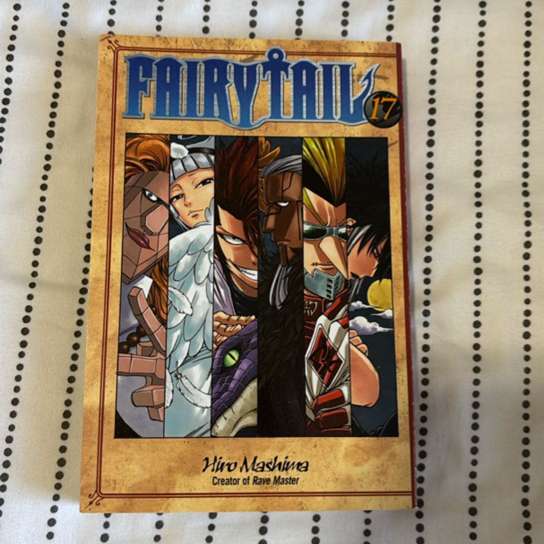 Fairy Tail 17