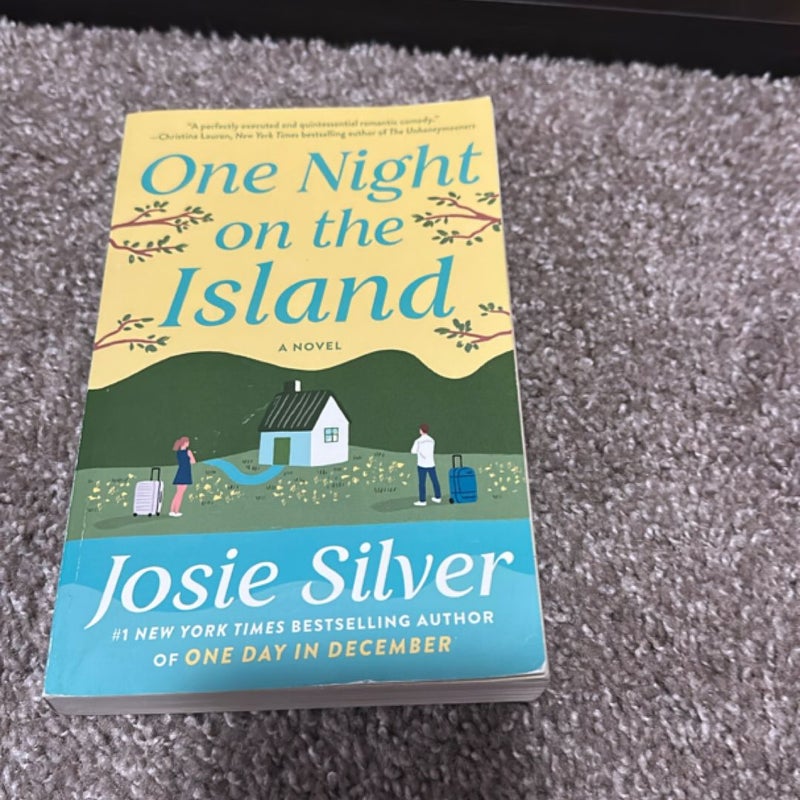 One Night on the Island