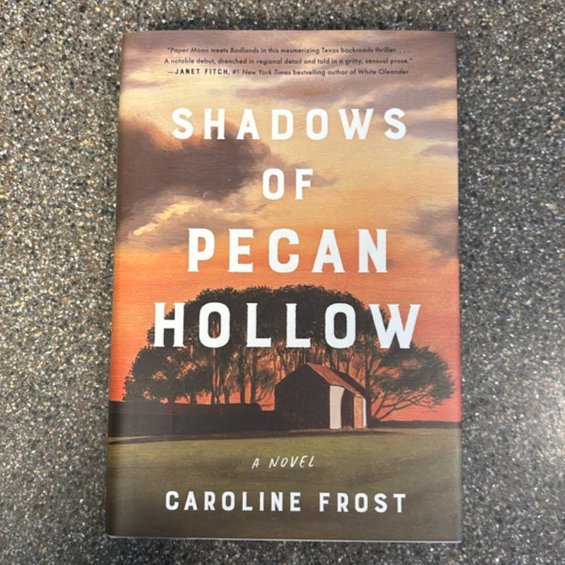 Shadows of Pecan Hollow