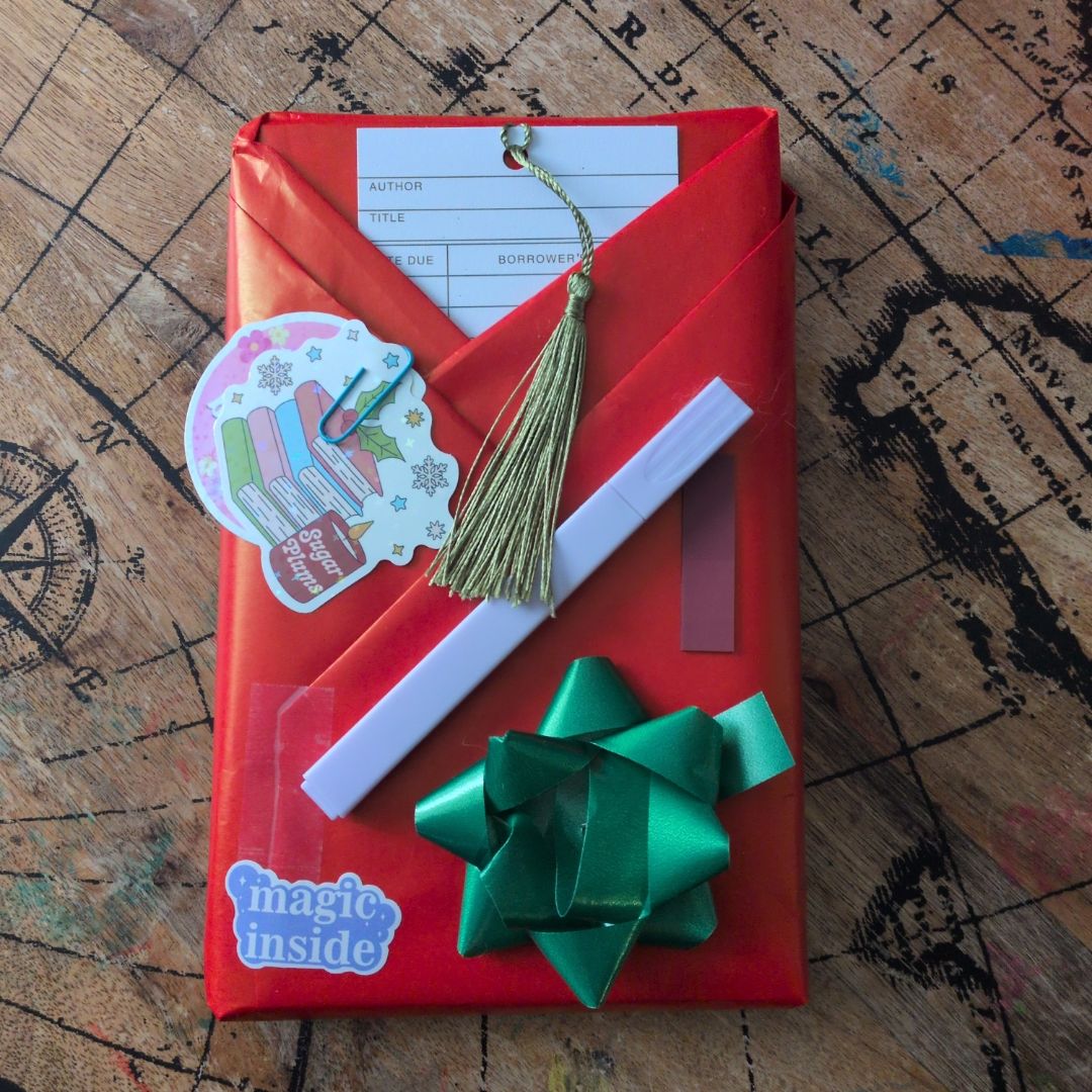 Holiday Blind Date with a Book 🎄