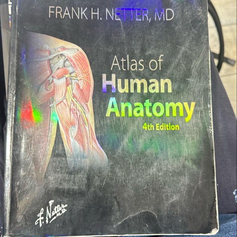 Human Anatomy