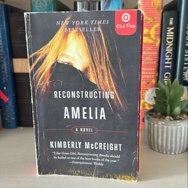 Reconstructing Amelia