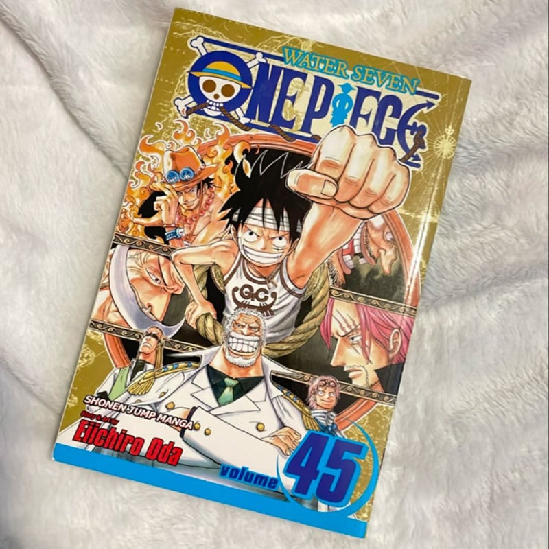 One Piece, Vol. 45