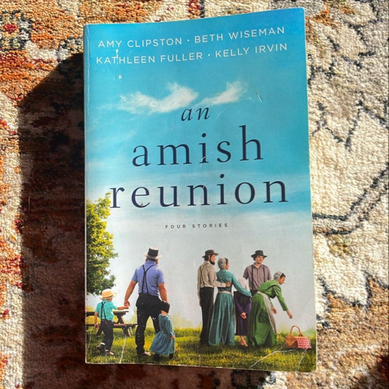 An Amish Reunion