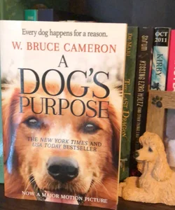 A Dogs Purpose