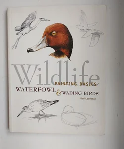 Wildlife Painting Basics Waterfowl and Wading Birds