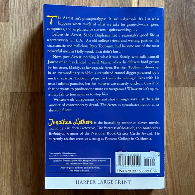 The Arrest (LARGE PRINT)