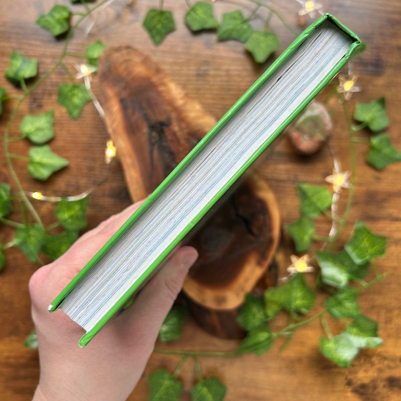 The Big Green Book of Beginner Books