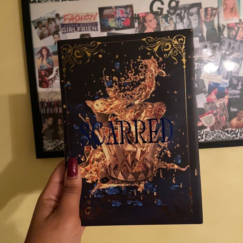 Fable Never After Series 