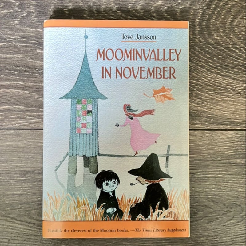 Moominvalley in November