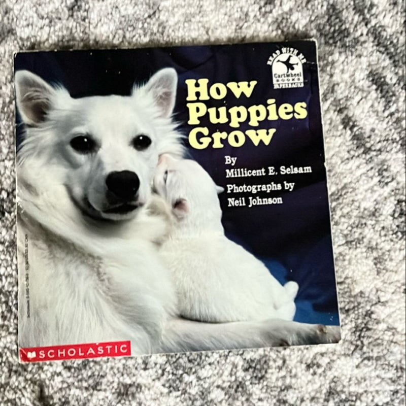 How Puppies Grow