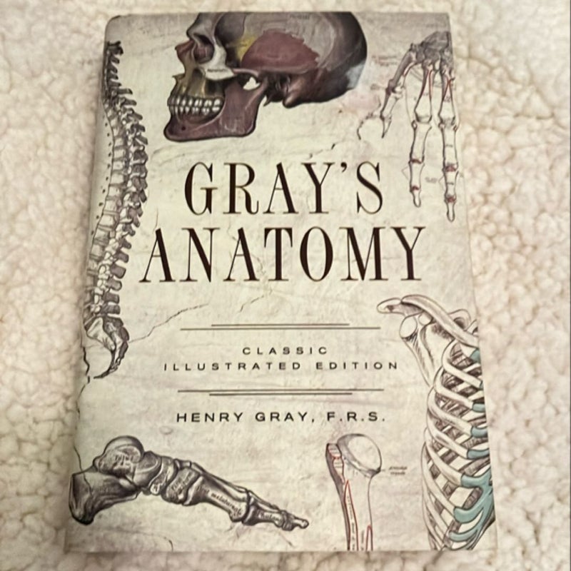 Gray's Anatomy