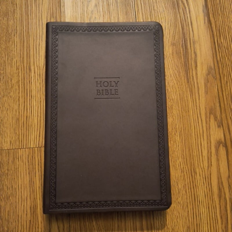 NIV Value Thinline Bible [Brown]