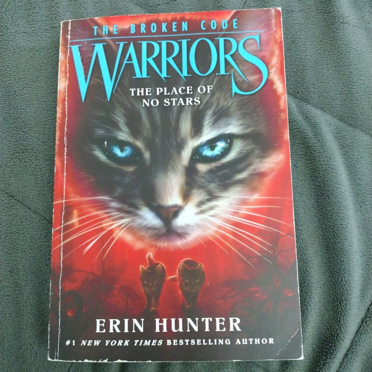 Warriors: the Broken Code #5: the Place of No Stars by Erin Hunter