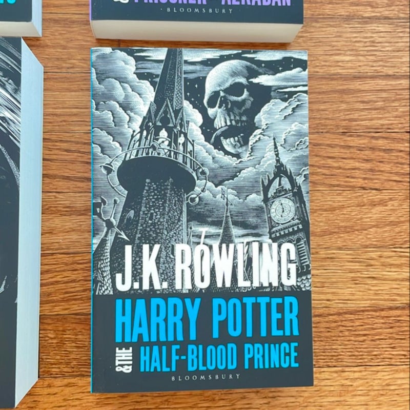 Harry Potter Boxed Set: the Complete Collection (Adult Paperback)