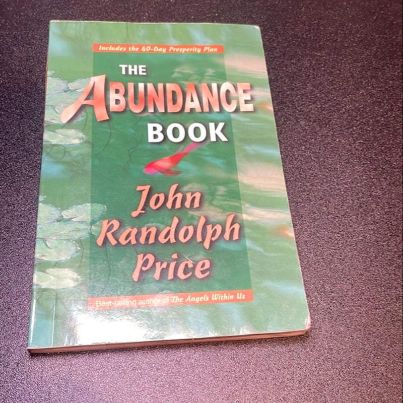 The Abundance Book