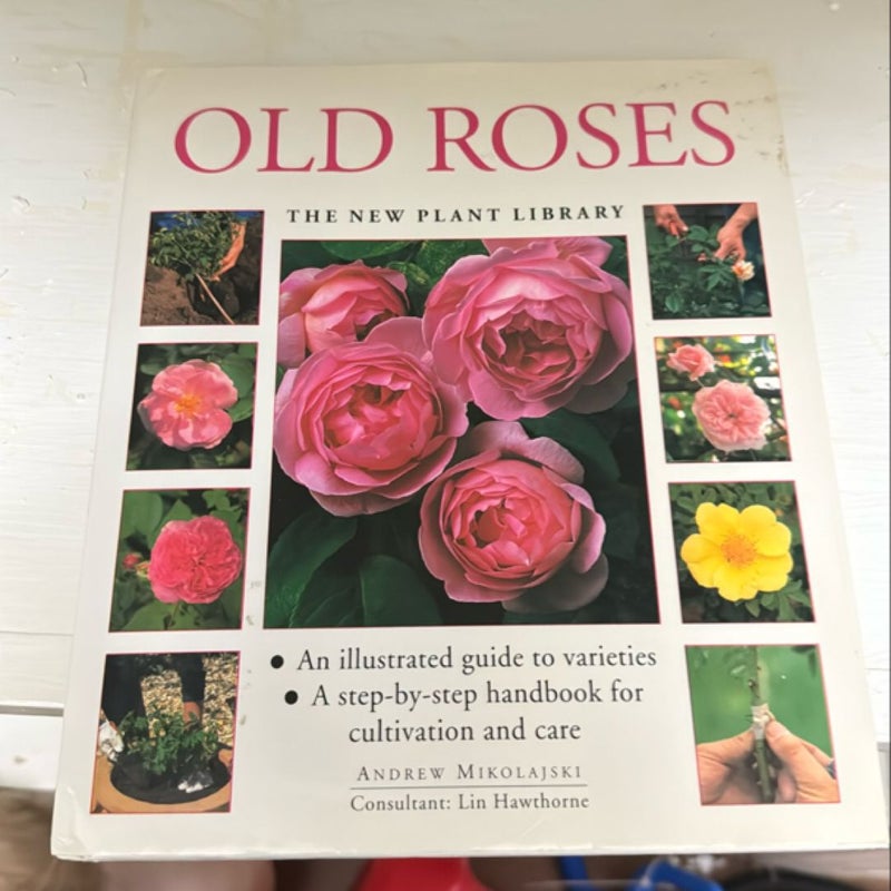 Old Roses