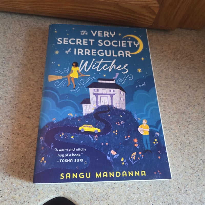 The Very Secret Society of Irregular Witches