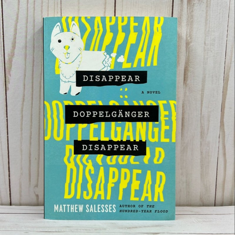 Disappear Doppelgänger Disappear