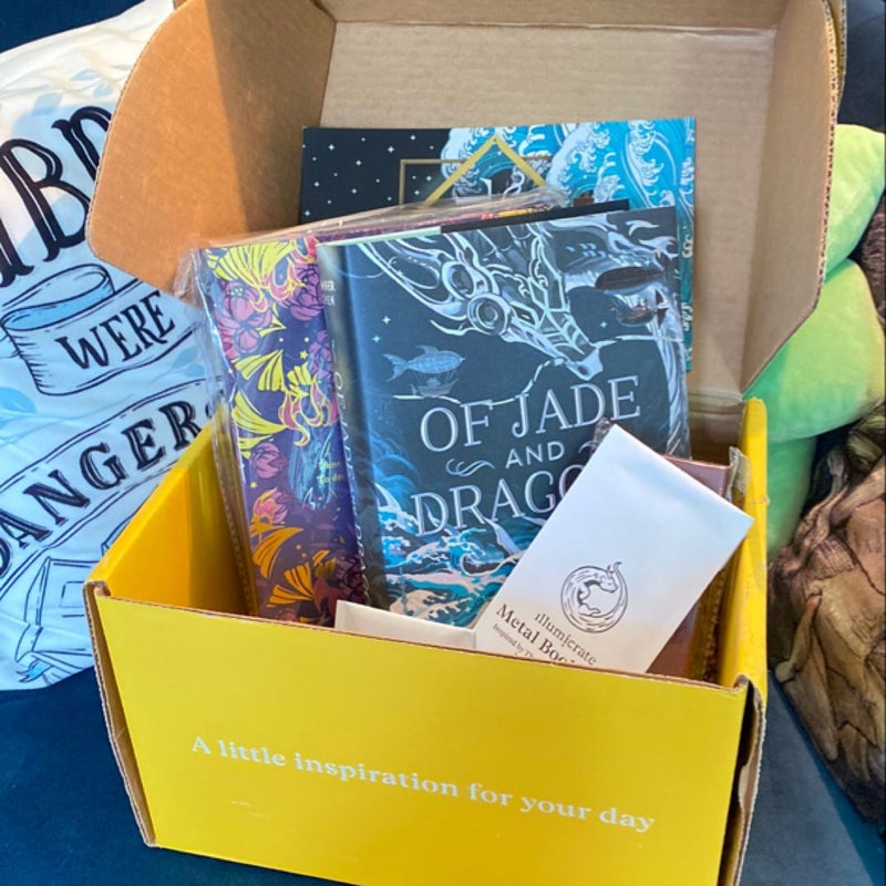 Of Jade and Dragons: June 2024 Illumicrate Box w/book