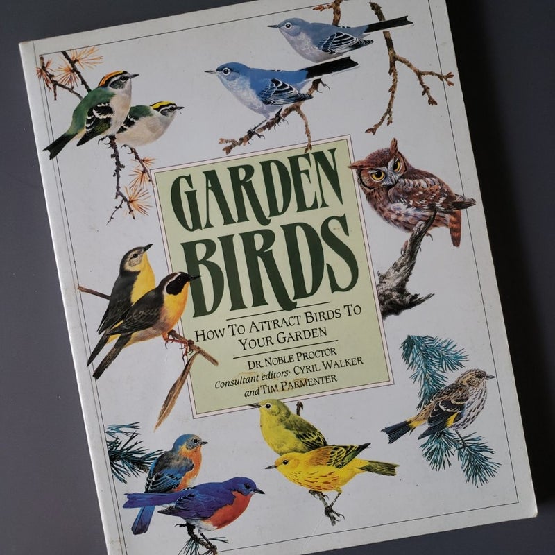 Garden Birds