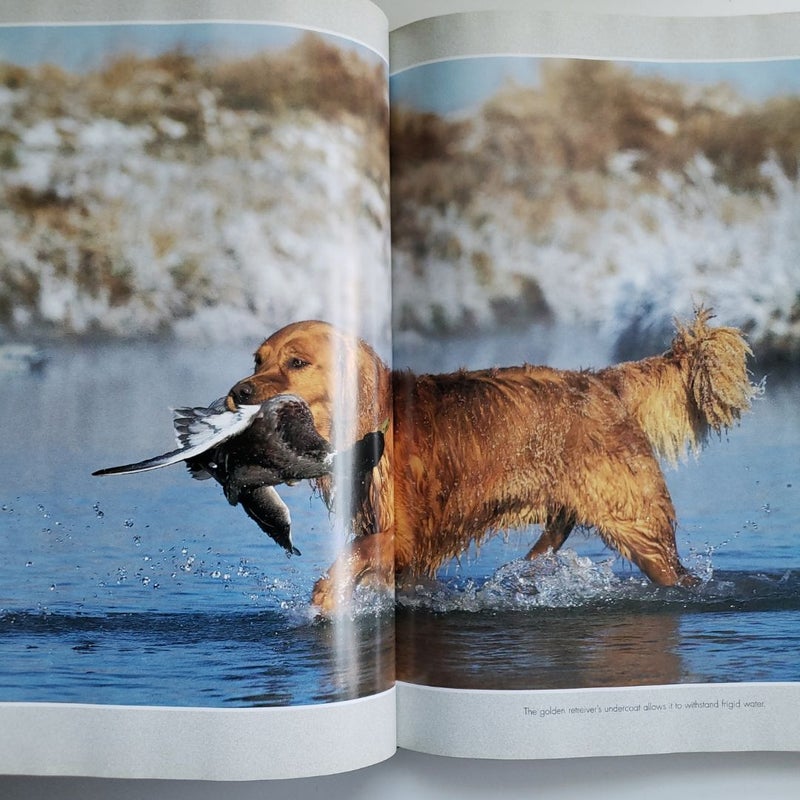 Encyclopedia of North American Sporting Dogs