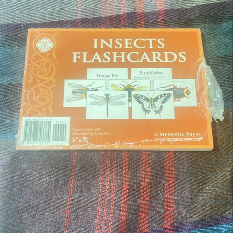The Book of Insects Teacher Guide and Flash Catds 