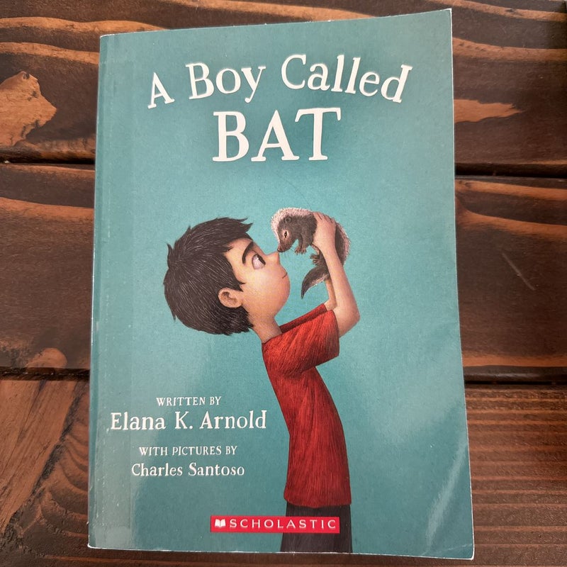 A Boy Called Bat