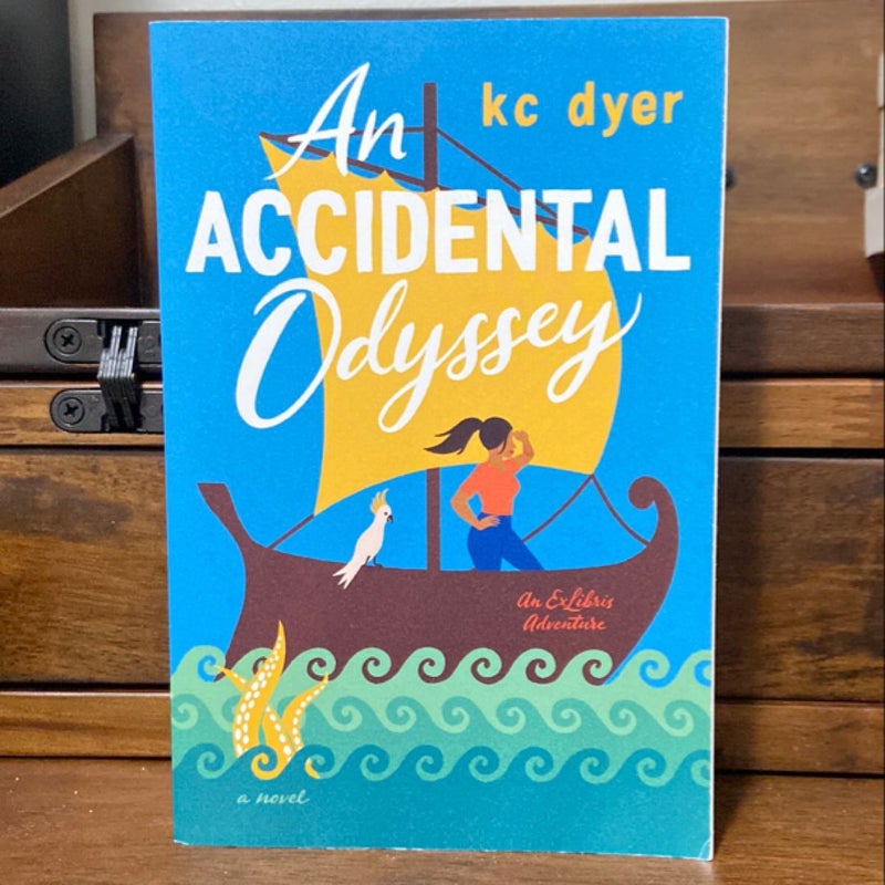 An Accidental Odyssey
