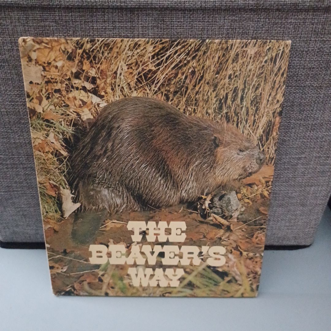The Beaver's Way 