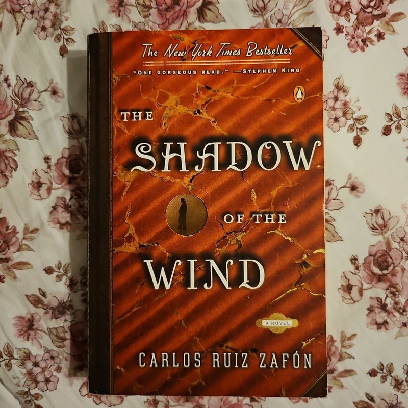 The Shadow of the Wind