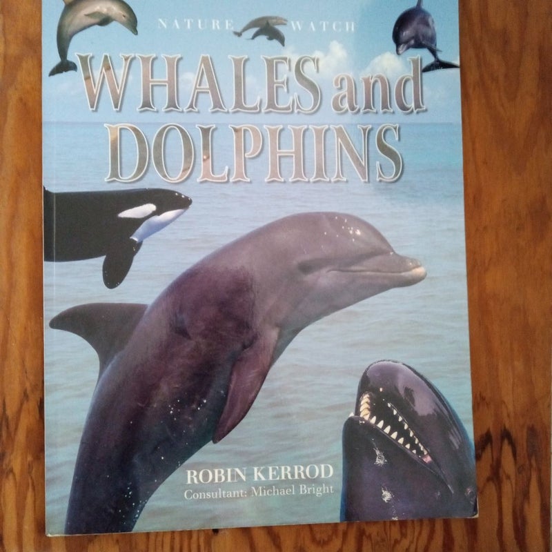 Whales and Dolphins 