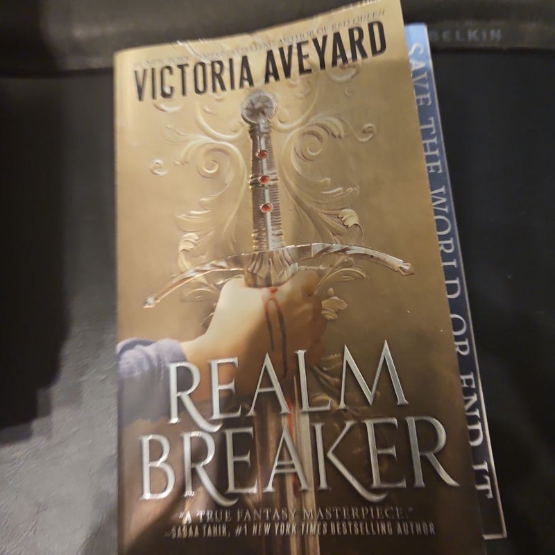 Realm Breaker