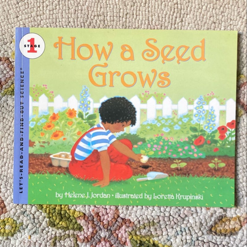 How a Seed Grows