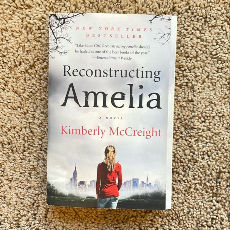 Reconstructing Amelia