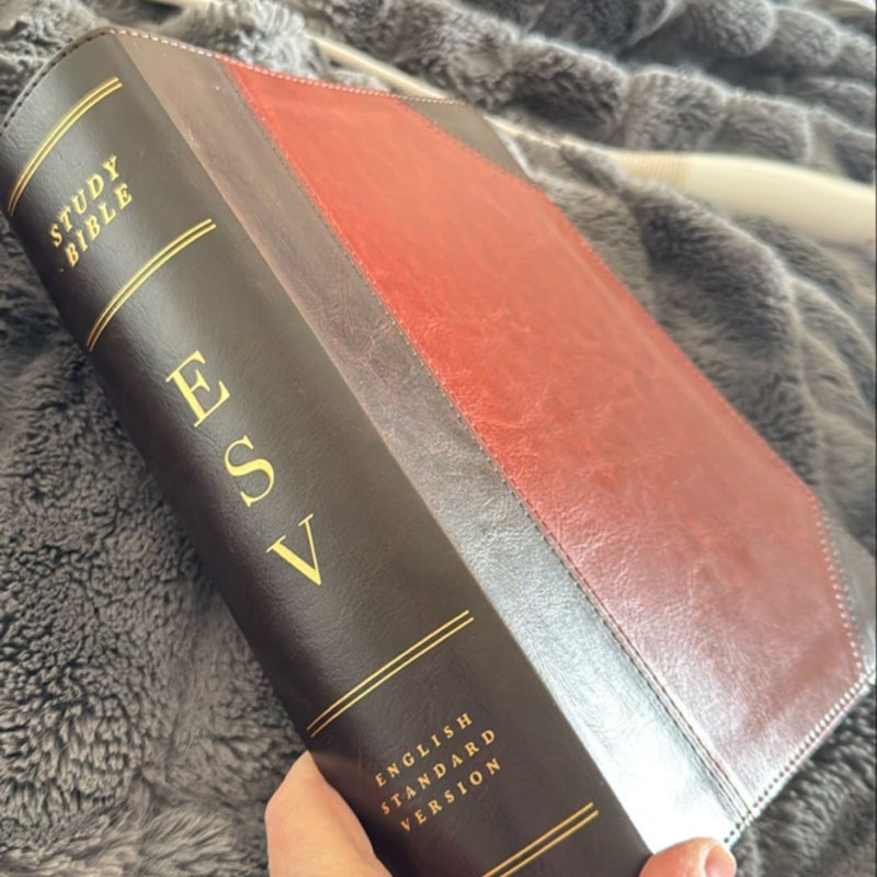 ESV Bible