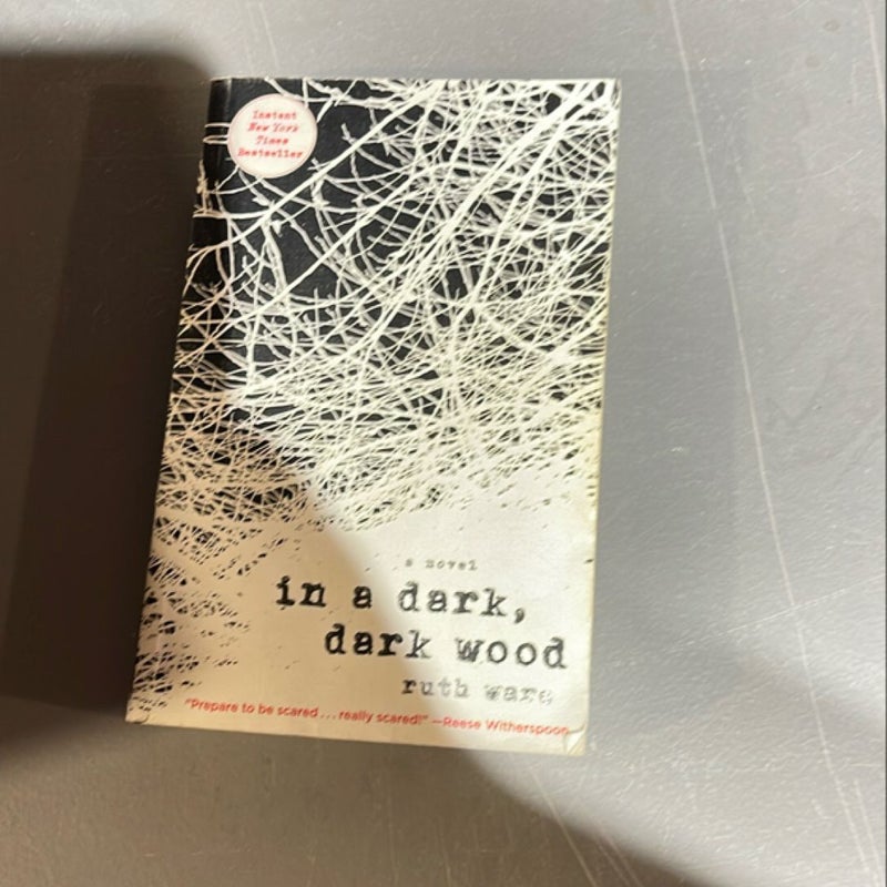 In a Dark, Dark Wood