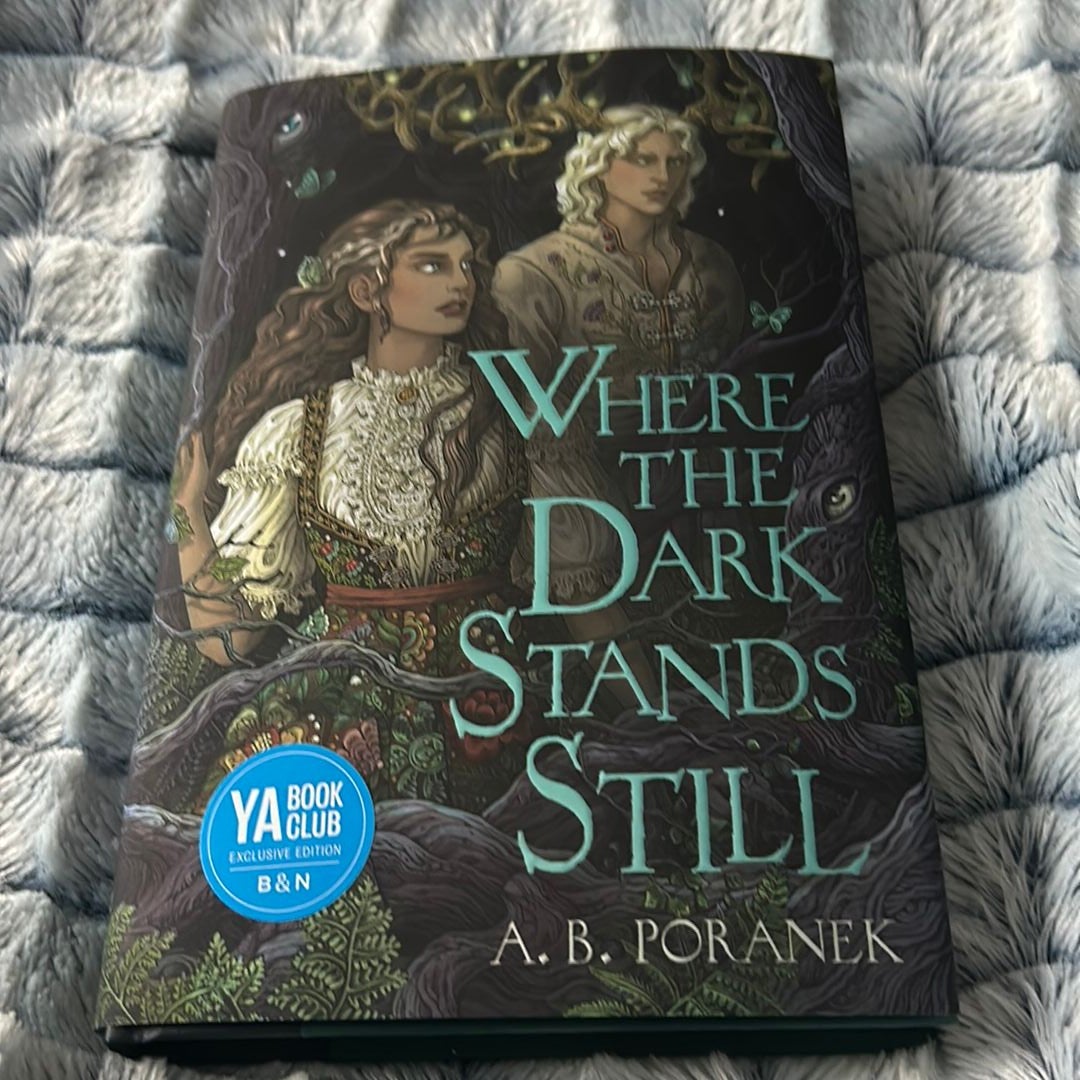 Where The Dark Stands Still By A. B. Poranek, Hardcover | Pangobooks