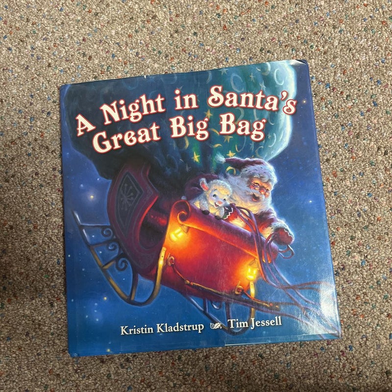 A Night in Santa's Great Big Bag