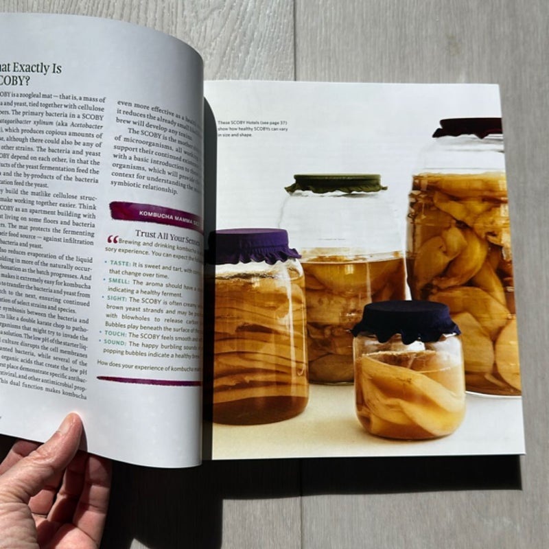 The Big Book of Kombucha