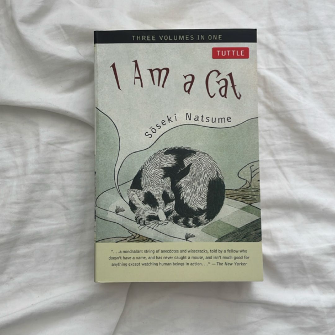 Sale image for fa584795-4291-4b43-9ac2-86fe648ebd9a-CA8Tm4jzkDZr3APmPEsTYn0HyTB3