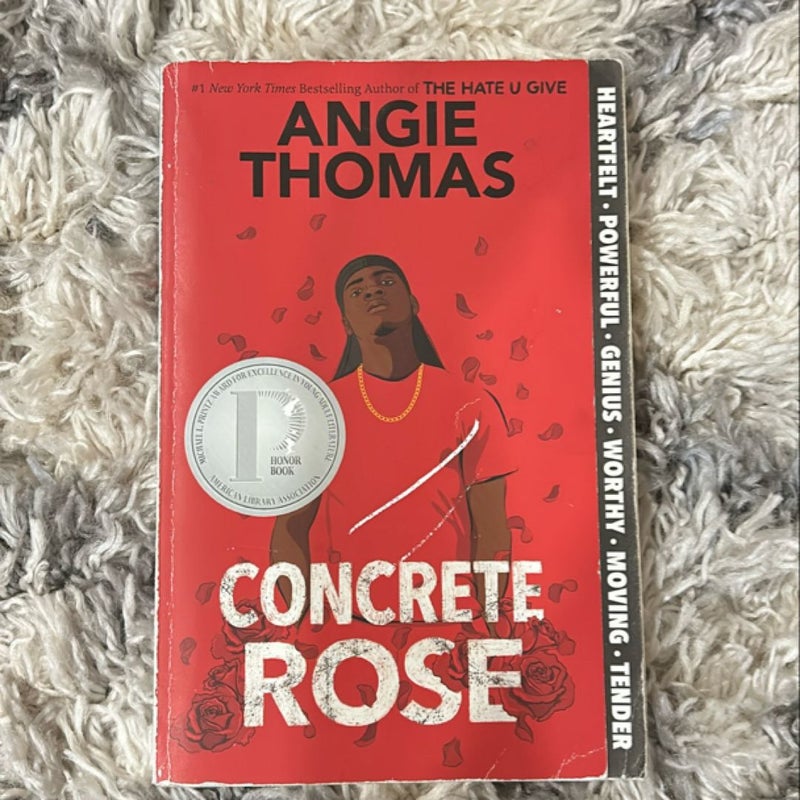 Concrete Rose