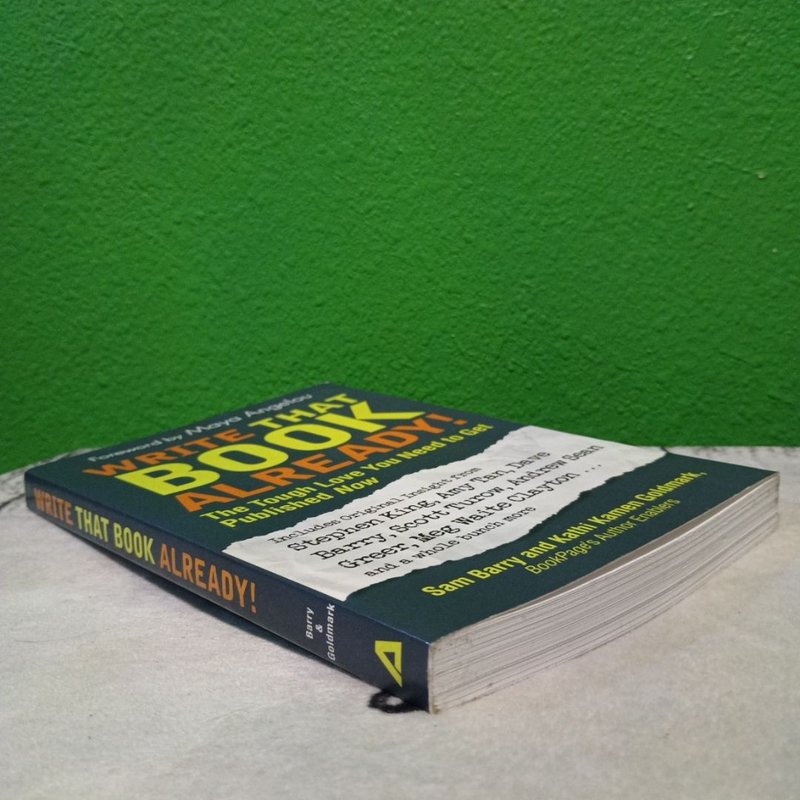 Write That Book Already!