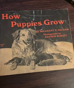 How Puppies Grow