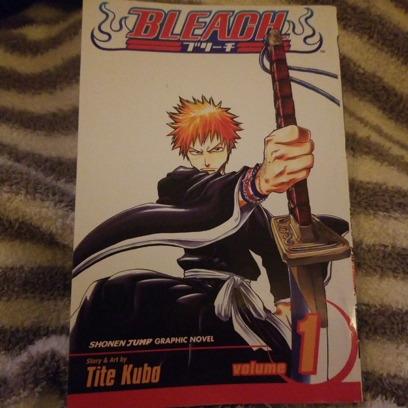 Bleach, Vol. 1