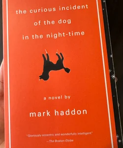 The Curious Incident of the Dog in the Night-Time