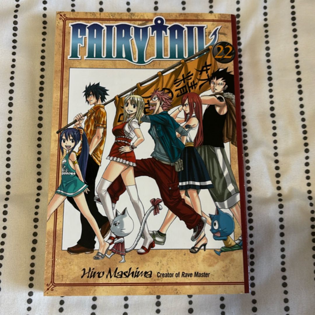 Fairy Tail 22