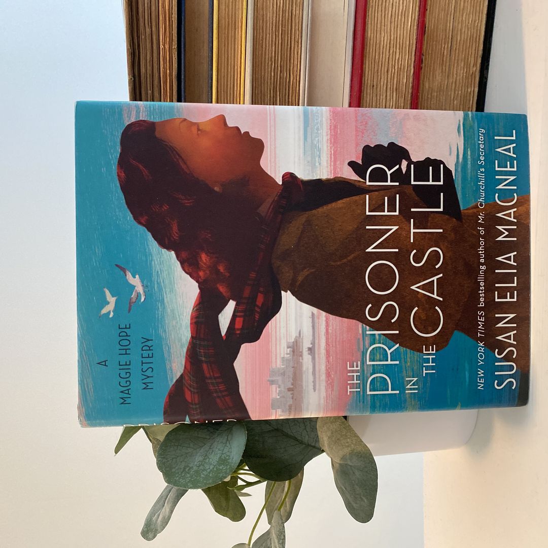 The Prisoner in the Castle